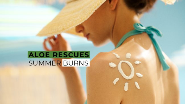 aloe_heals_sunburns-01