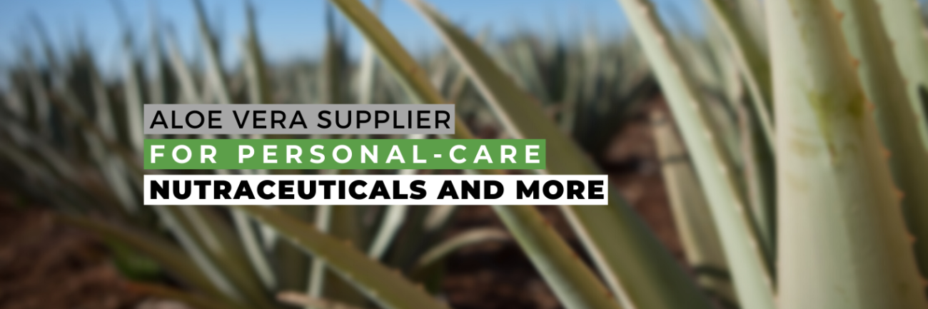 ACAP can be your official aloe vera supplier_Blog Image