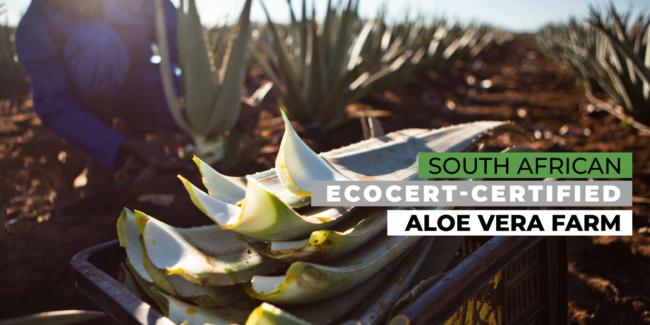 B1_-ACAP-organics-in-skincare-Post-for-Feb-17th-2023