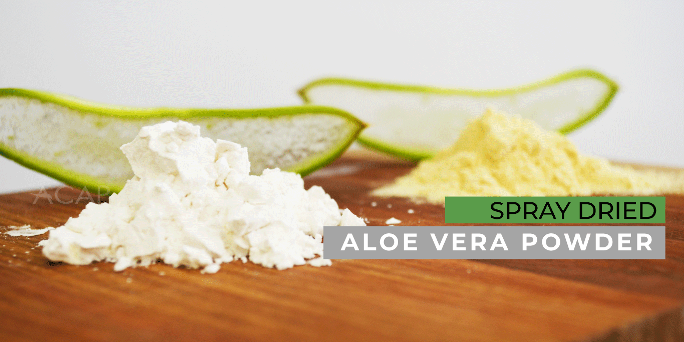 B2_-Feb-24-on-Spray-dried-powder