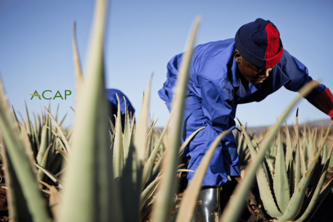 good sgriculture practise